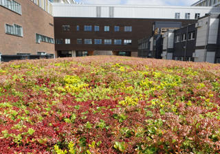 KUBIC Cykeloverdaekning Med Sedumtag Taet Paa