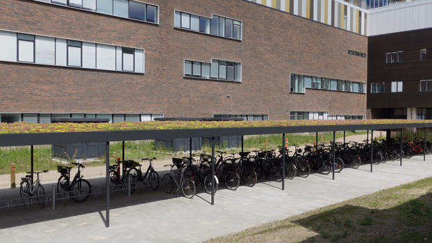 Sedum på toppen af KUBIC cykelparkering
